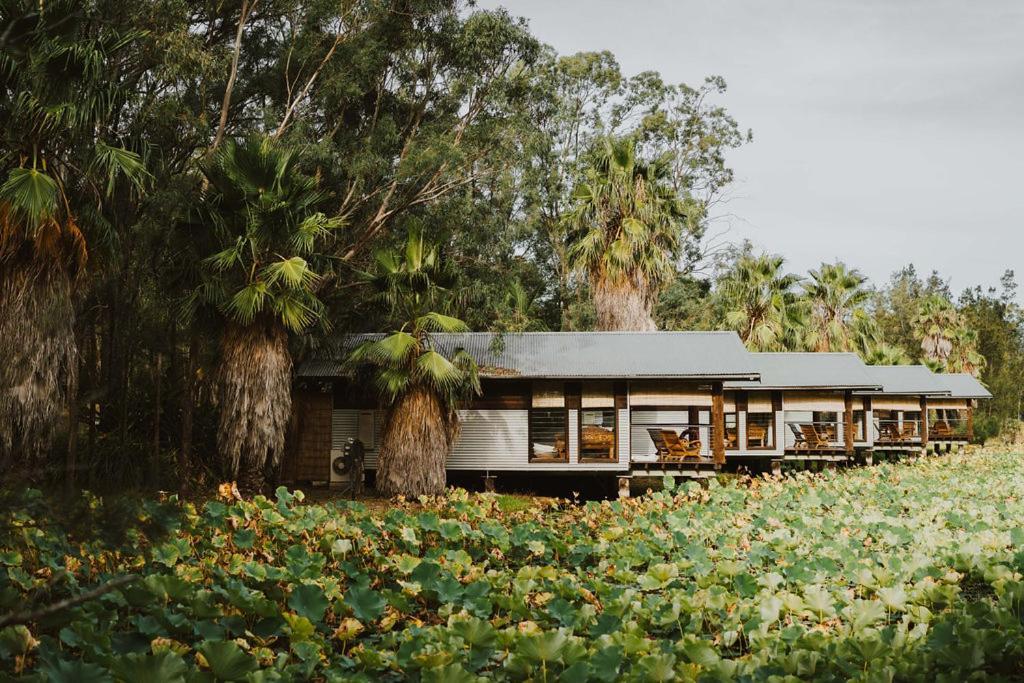 The Boathouses At Leaves & Fishes 러브데일 외부 사진